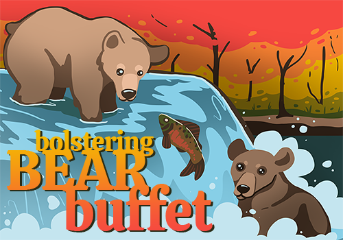 Bolstering Bear Buffet